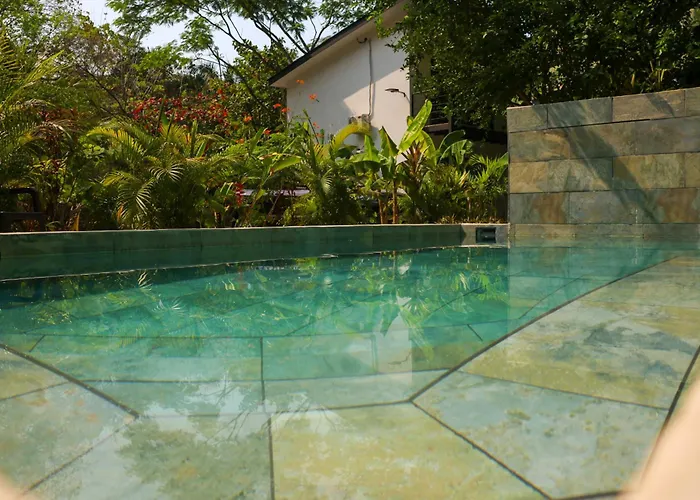 Vista Verde Surf & Studios - Jungle View