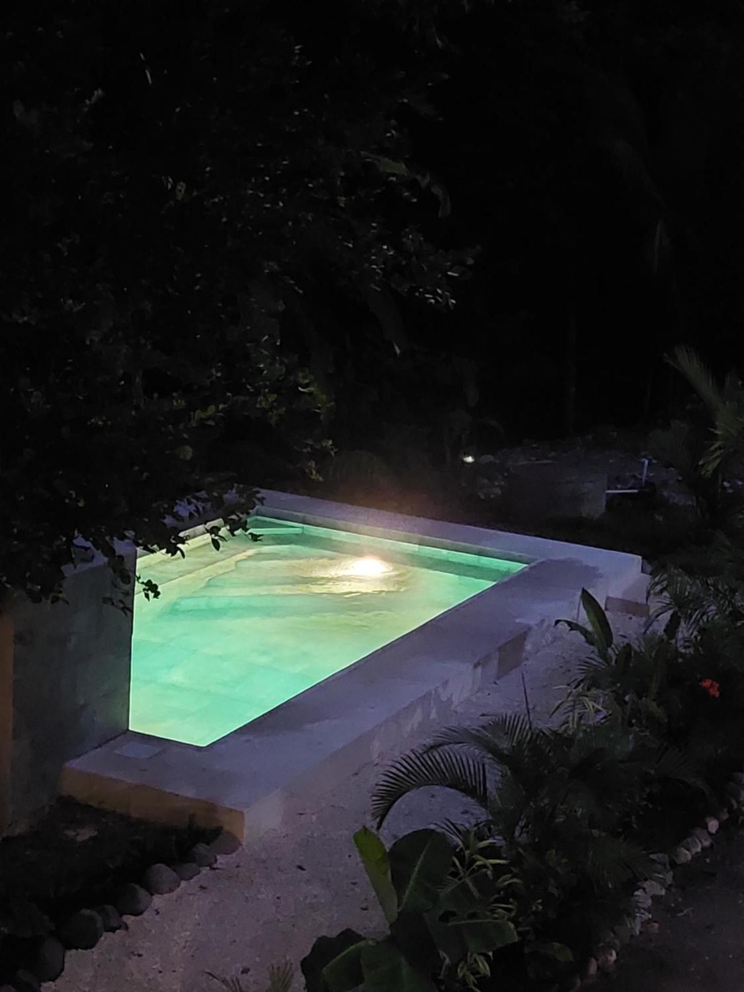 Vista Surf & - Jungle View * Carmen (Puntarenas)