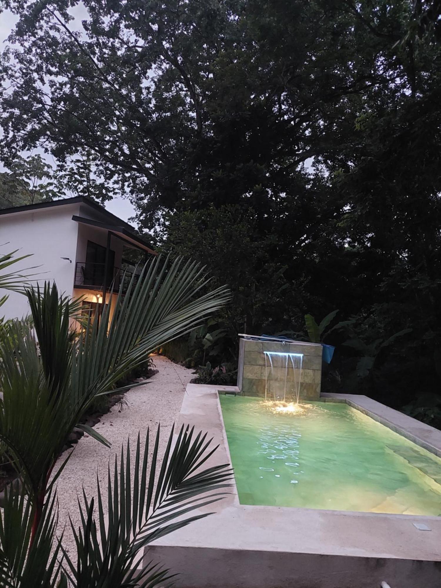Vista Surf & - Jungle View Apartment