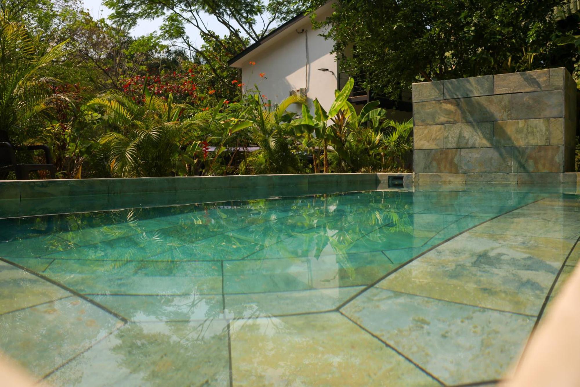 Vista Surf & - Jungle View