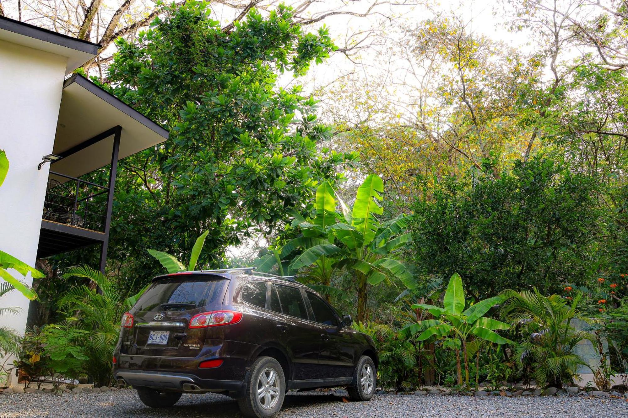 Vista Surf & - Jungle View Carmen (Puntarenas)