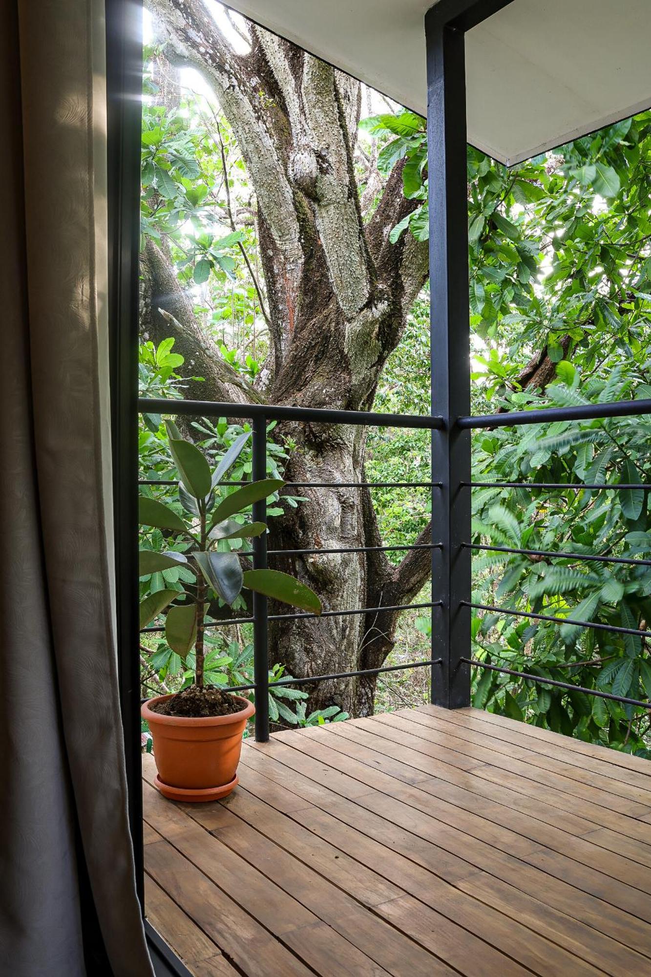 Vista Surf & - Jungle View