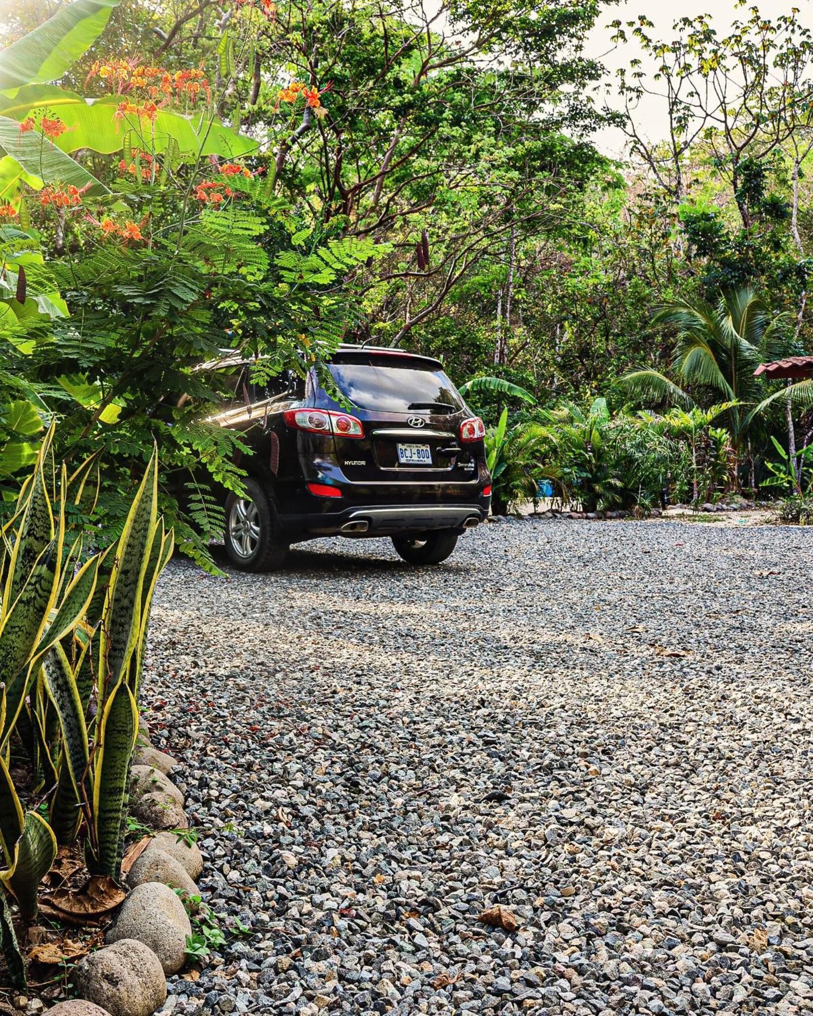 Vista Surf & - Jungle View Apartment