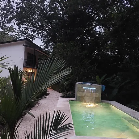 Vista Verde Surf & Studios - Jungle View Carmen  Exterior photo
