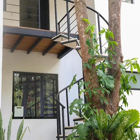 Vista Verde Surf & Studios - Jungle View Carmen  Exterior photo