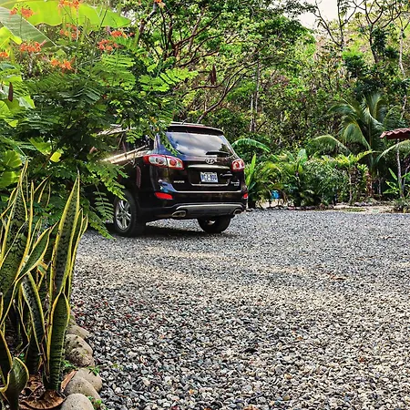Vista Verde Surf & Studios - Jungle View Carmen  Exterior photo