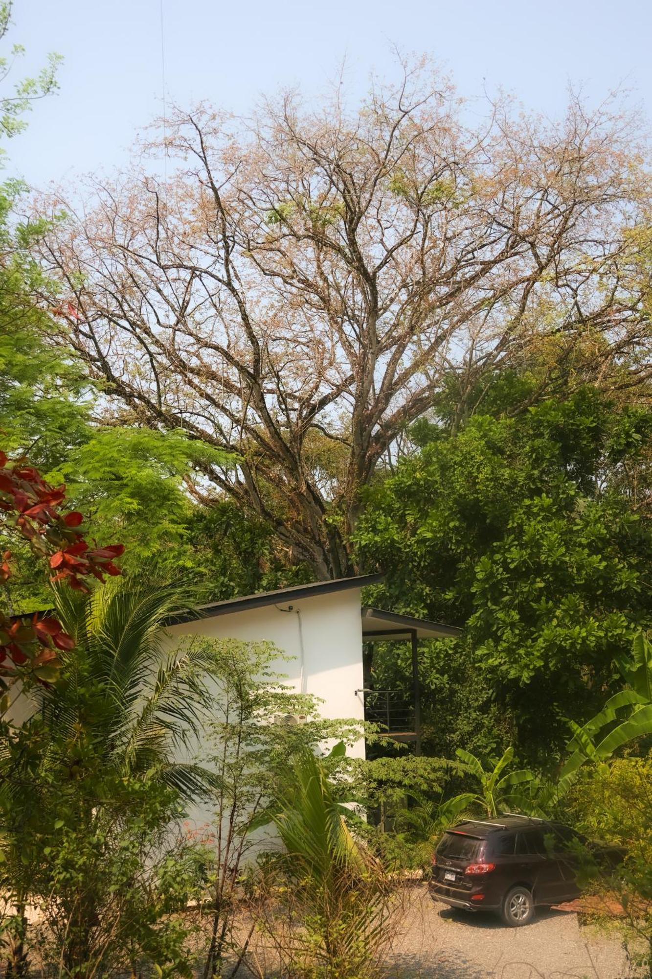 Appartement Vista Surf & - Jungle View
