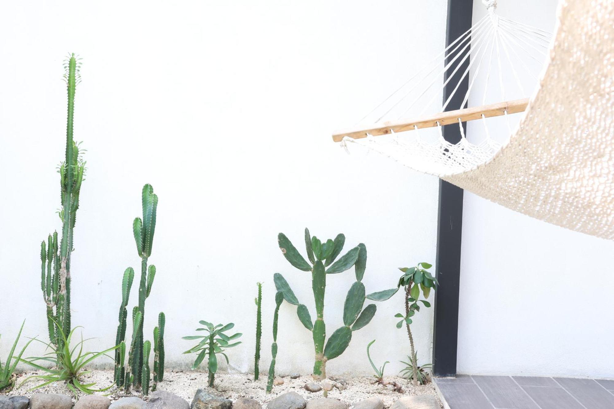 Vista Surf & - Jungle View Appartement