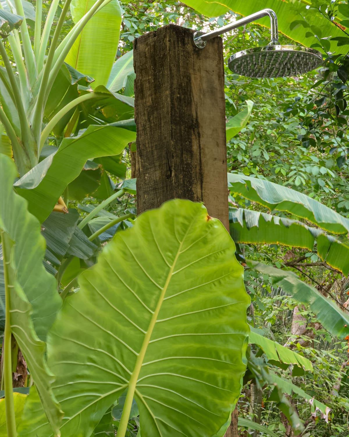 Vista Surf & - Jungle View * Carmen (Puntarenas)